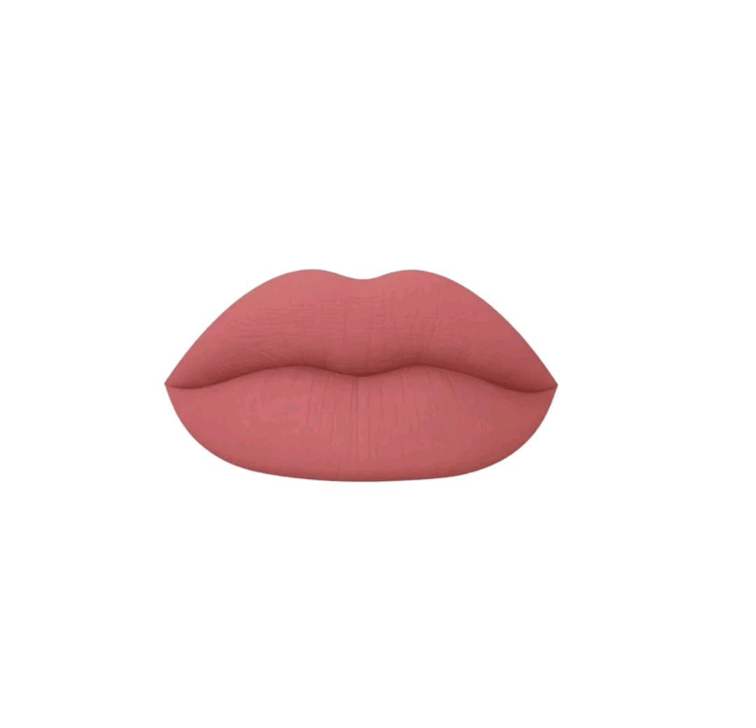 Mienna Cosmetics Matte Liquid Lipstick Long Lasting Lipstick No - Budge Matte Longwear Transfer Proof Makeup