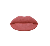 Mienna Cosmetics Matte Liquid Lipstick Long Lasting Lipstick No - Budge Matte Longwear Transfer Proof Makeup