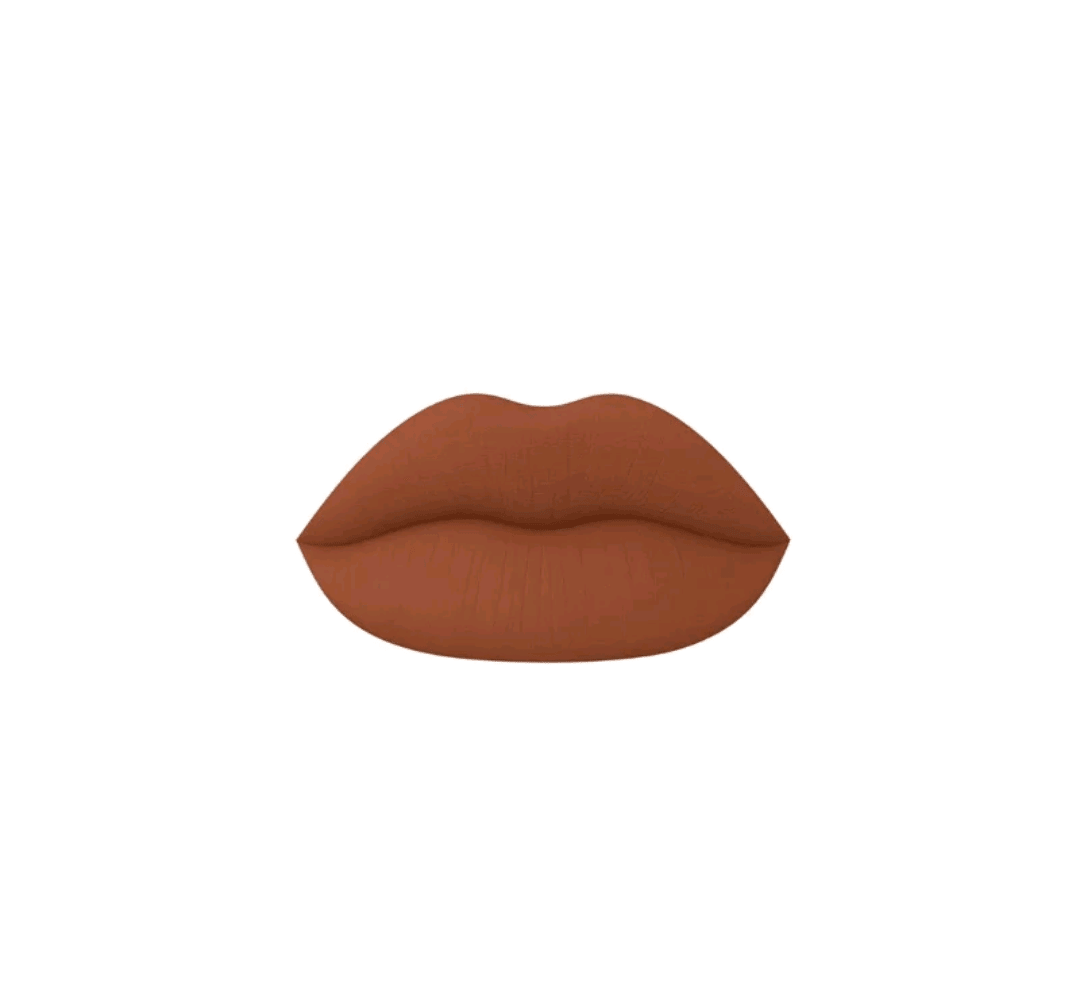 Mienna Cosmetics Matte Liquid Lipstick Long Lasting Lipstick No - Budge Matte Longwear Transfer Proof Makeup