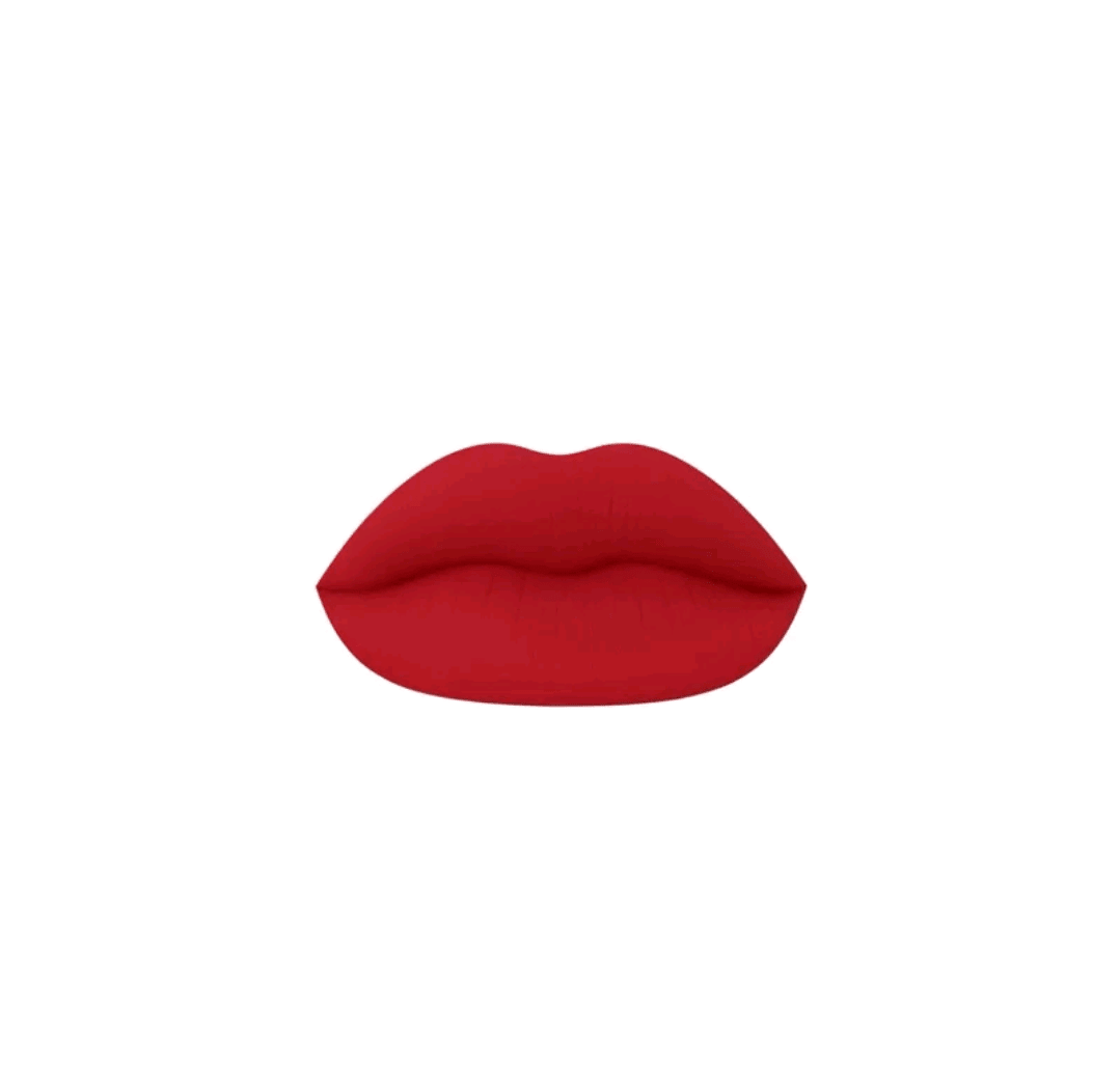 Mienna Cosmetics Matte Liquid Lipstick Long Lasting Lipstick No - Budge Matte Longwear Transfer Proof Makeup