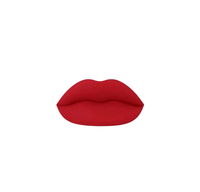 Mienna Cosmetics Matte Liquid Lipstick Long Lasting Lipstick No - Budge Matte Longwear Transfer Proof Makeup