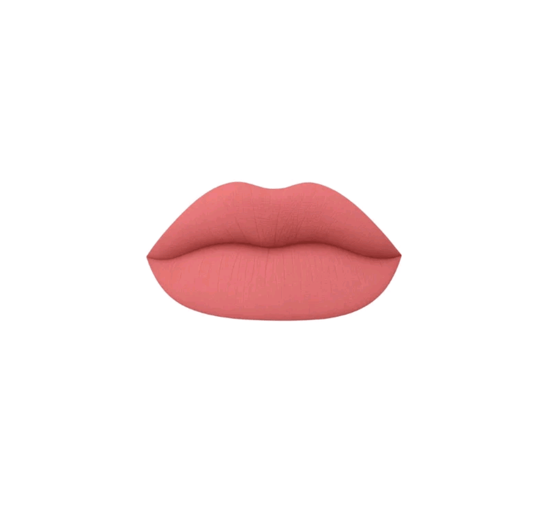 Mienna Cosmetics Matte Liquid Lipstick Long Lasting Lipstick No - Budge Matte Longwear Transfer Proof Makeup