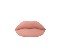 Mienna Cosmetics Matte Liquid Lipstick Long Lasting Lipstick No - Budge Matte Longwear Transfer Proof Makeup